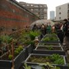 Balade Potagers Collectifs 9